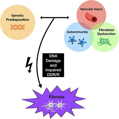 Case Report: Chemotherapy-Associated Systemic Sclerosis: Is DNA Damage to Blame?